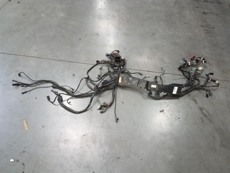 2013 09 - 13 Harley Davidson CVO UltraMain Wiring Harness#2581 V5
