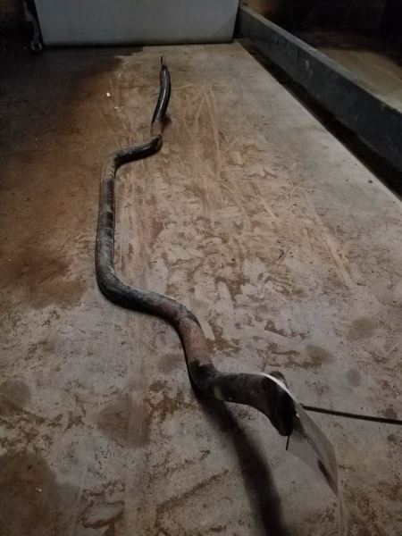 Stabilizer Bar Front 4 Door Excluding Sport Trac Fits 02-05 EXPLORER 104050