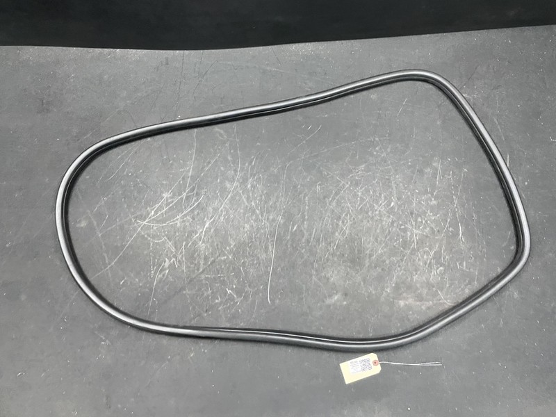 Rear Left Door Body Weatherstrip 2018 BMW X1 51727440034 2016 2017 2019 - 2022