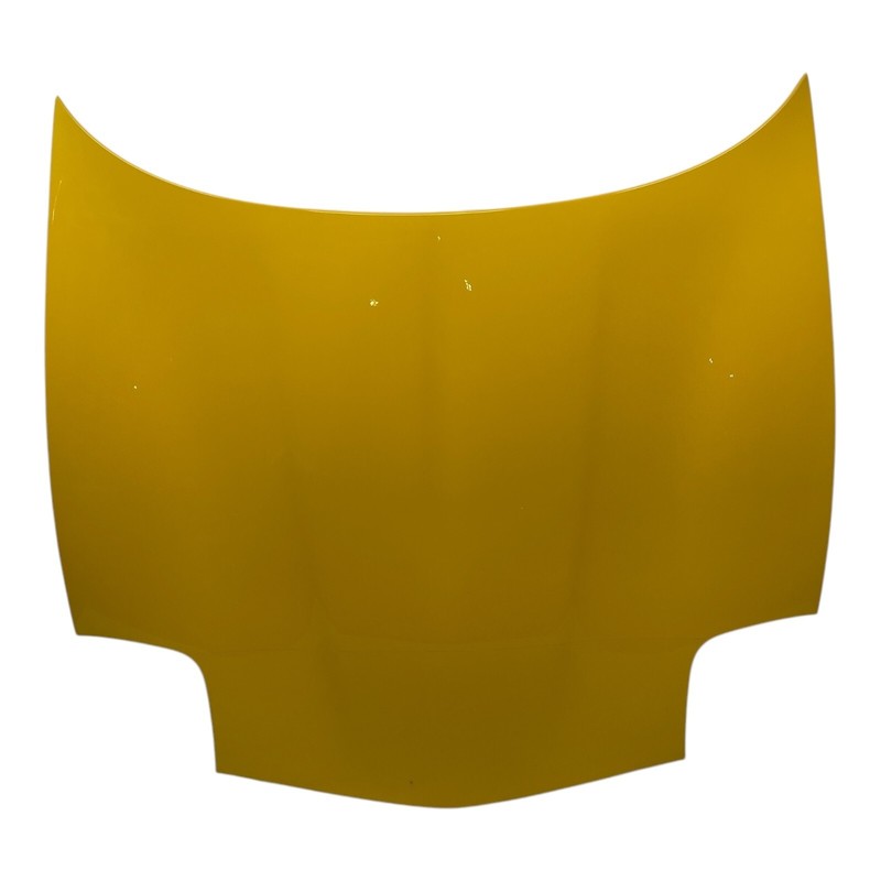 Scratches* 1997-2004 Chevrolet Corvette C5 Front hood panel paint U423C OEM