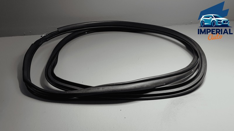 Toyota RAV4 Rear Left Driver Door Body Weatherstrip Seal OEM 2019-2025