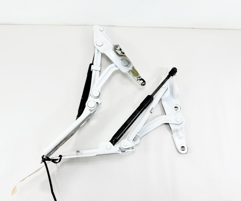 2009-2012 Lincoln MKS Trunk Lid Hinge Left & Right Pair White OEM Set LH RH