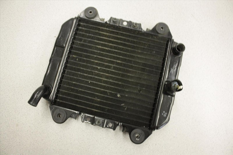 2007 KAWASAKI EX 250 NINJA RAD RADIATOR COOLANT WATER OEM EX250 250R 07