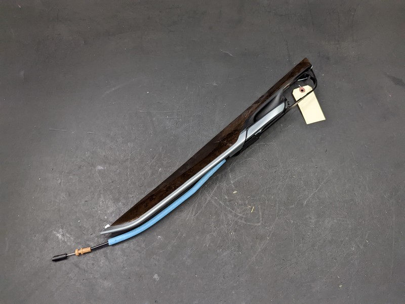 Rear Left Door Trim Panel Molding w/ Handle 2018 BMW X6 2015 2016 2017 2019