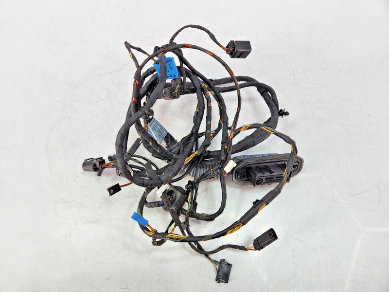 ✅ 2010-2014 OEM Rolls Royce Ghost RR4 Rear Right Side Lower Door Wiring Harness