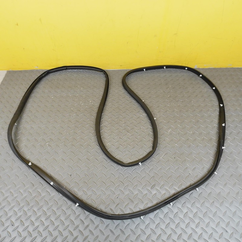 2024-2025 HYUNDAI SANTA FE FRONT LEFT SIDE DOOR WEATHERSTRIP SEAL OEM 82130R6000