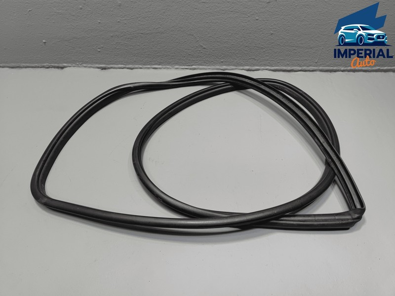 2019-2025 TOYOTA RAV4 FRONT LEFT DRIVER SIDE DOOR ON BODY WEATHERSTRIP SEAL OEM