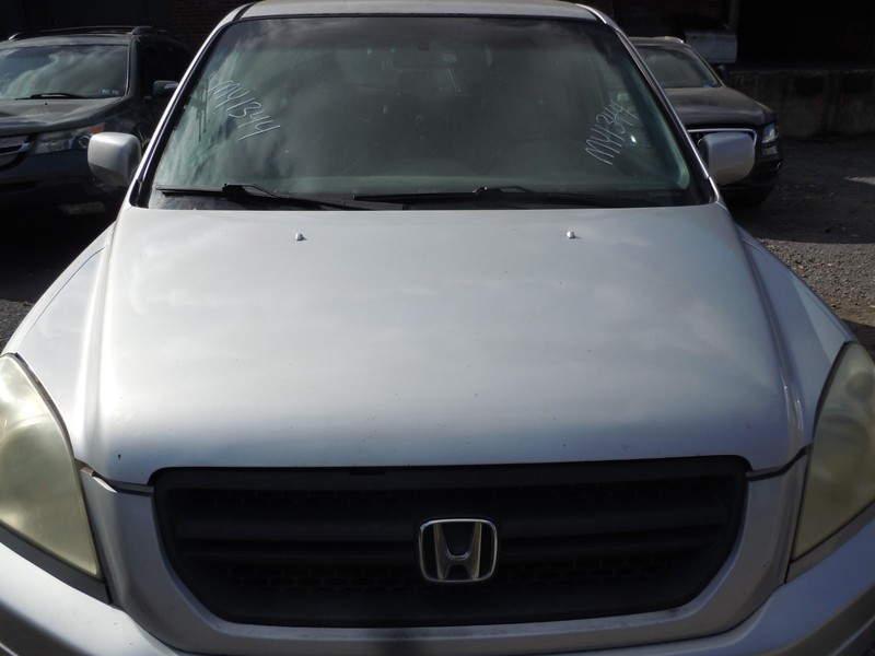 2003-2005 Honda Pilot Hood Bonnet Lid OEM NH638M