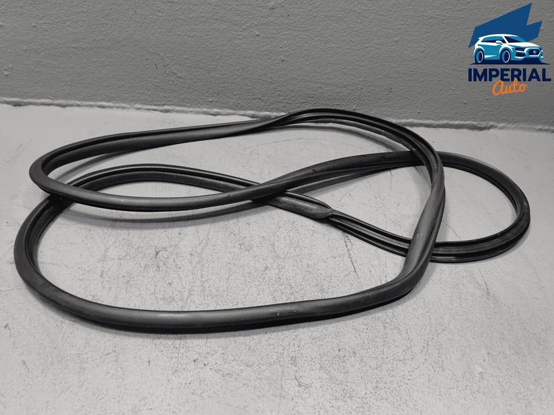 2019-2024 TOYOTA RAV4 FRONT PASSENGER SIDE DOOR BODY WEATHERSTRIP INNER SEAL OEM