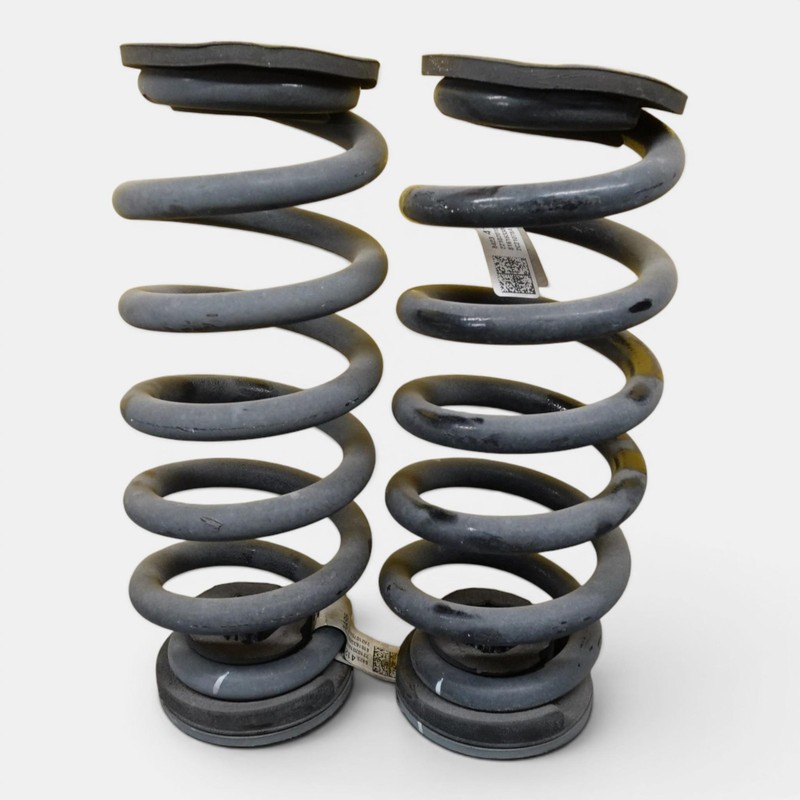 2019-2025 CHEVROLET BLAZER FWD REAR LEFT RIGHT SUSPENSION COIL SPRING SET OEM