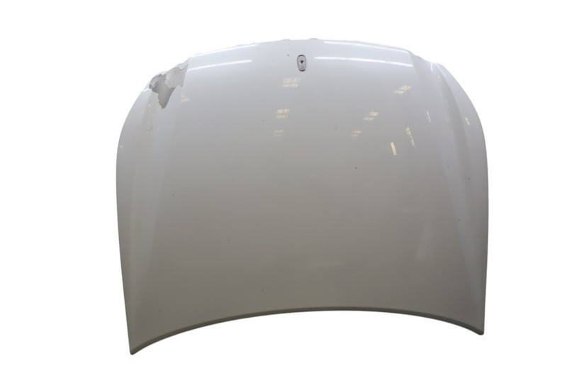 13-15 Hyundai Equus Front Hood Bonnet Shell Lid Cover Assembly 664003N001 Oem