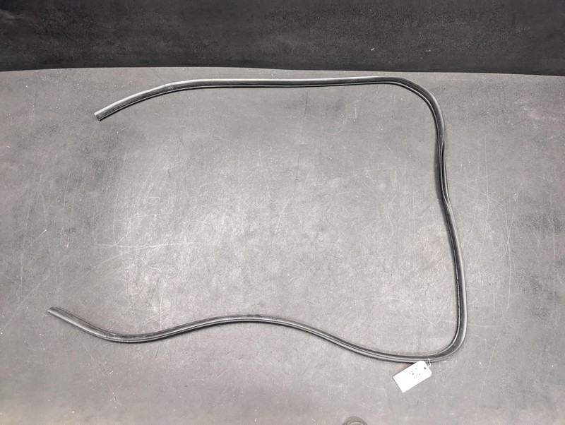 Rear Left or Right Door Body Weatherstrip 2020 Nissan Sentra 76924-6LE0A 21-23