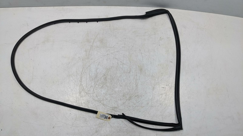 Rear Left Driver Door Weatherstrip 2019 Dodge Charger 68040047AM 2017 2018