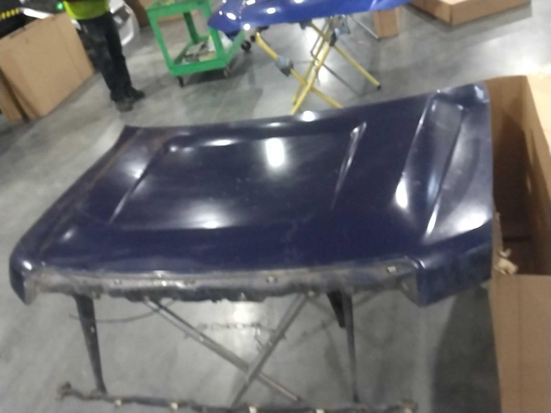 2010 Ford F150 Pickup Hood Panel Blue OEM 9L3Z16612A Used 4DR PU BLU
