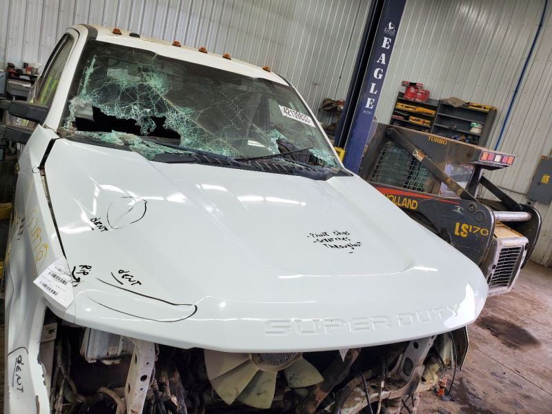 Hood Fits 17-20 FORD F250SD PICKUP 286248