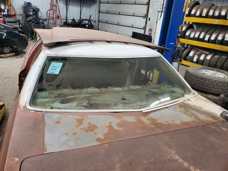Back Glass Lesabre 4 Door Sedan Non-heated Fits 75-76 BUICK 309447