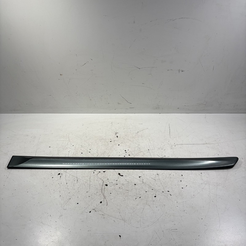08-12 Honda Accord 4D Left Rear Door Protector Molding Green 08P05-TA0-171 OEM