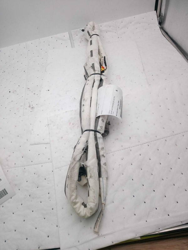 2019 Volkswagen Passat Right Curtain Air Bag Silver Used 106K Miles OEM