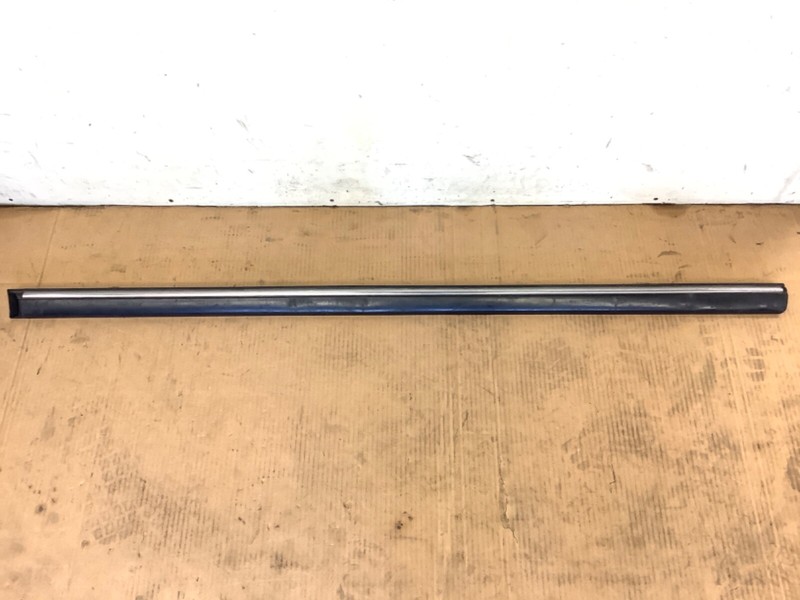 89-90 Legend 2DR Left Door Panel Protector Molding Impact Garnish Protect Trim