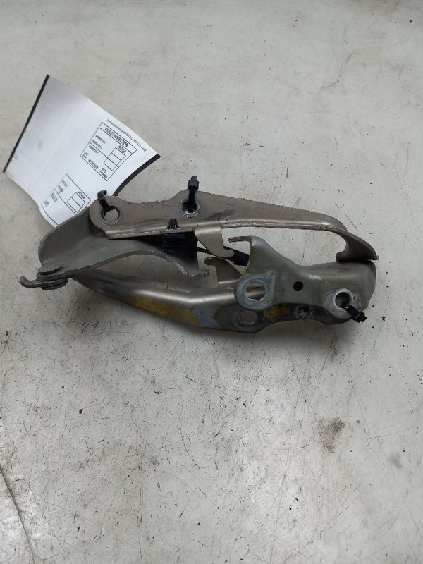 09 TOYOTA SIENNA HOOD HINGE PAIR GLD-4Q2
