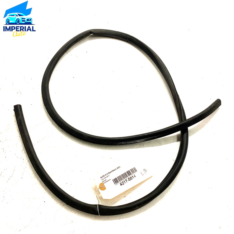 AUDI 2018-2023 A5 SPORTBACK REAR PASSENGER SIDE DOOR LOWER WHETHERSTRIP SEAL OEM