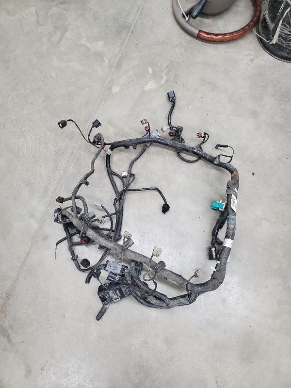 TOWN CAR2004 Engine Wire Harness 291421