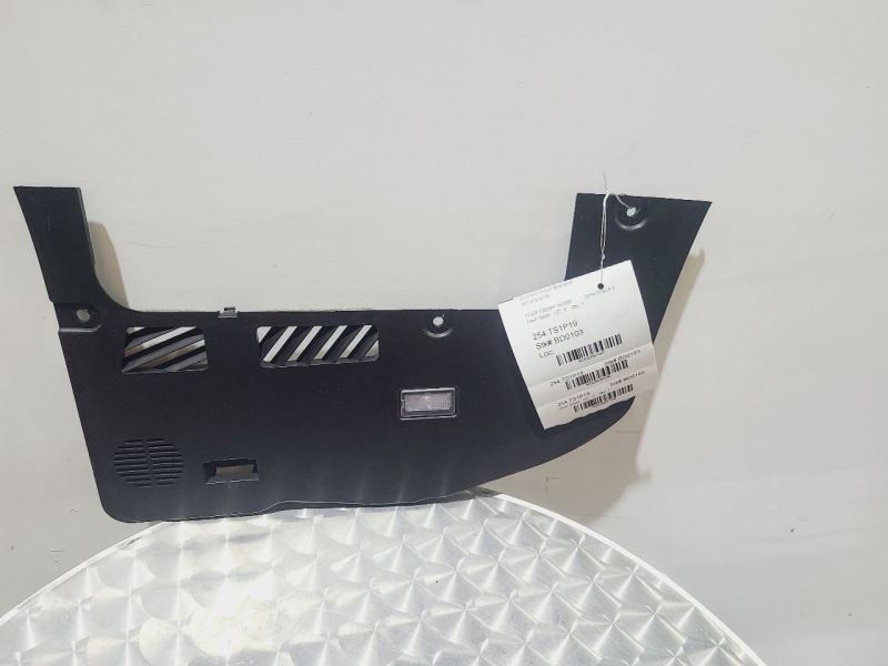 TESLA 3 2019 Dash Bezel 568196