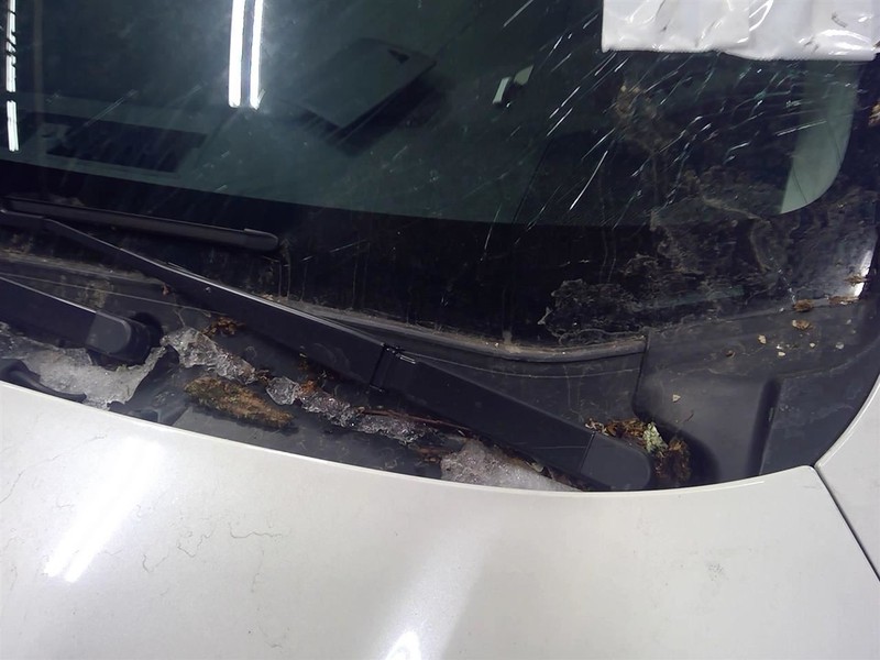 IMPREZA 2017-2023 Left Wiper Arm               1751385