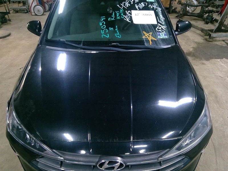 Hood Sedan US Built Fits 19-20 ELANTRA 1721614