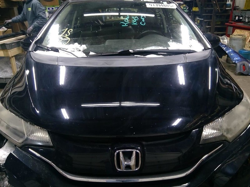 Hood Fits 15-20 FIT 1742455