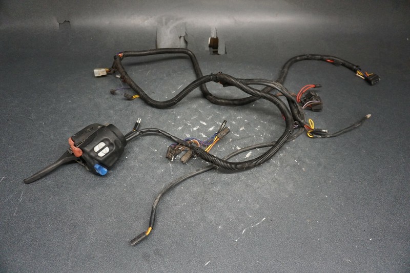 2003 Polaris OEM Brake Master Cylinder w/ Wiring Harness Ass'y XC Edge SP