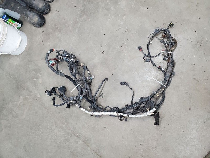 F1502010 Engine Wire Harness 305996