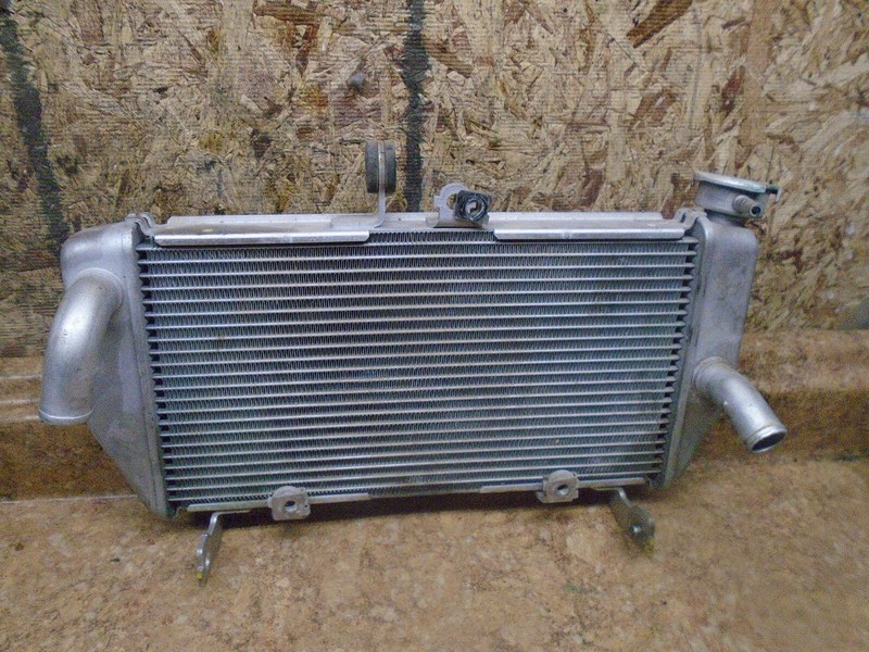 2015 Yamaha YZFR3 YZF R3 YZFR 300 R300 Radiator Coolant Cooler Cooling 15 2017