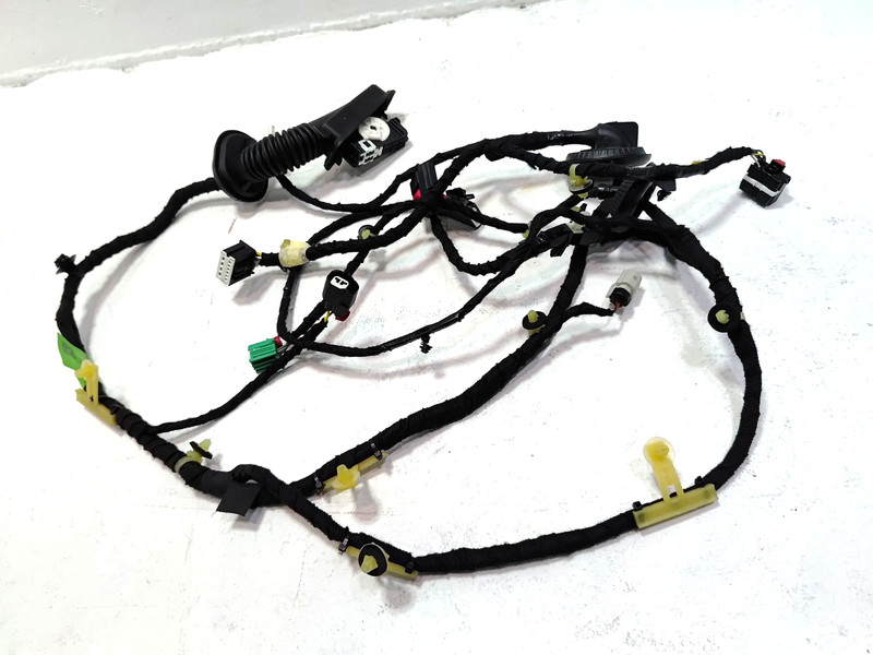 2024-2026 BUICK ENVISTA FRONT RIGHT PASSENGER SIDE DOOR WIRE WIRING HARNESS OEM