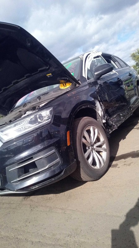 2018 AUDI Q7 Suspension Assembly Black Used 93K Miles OEM Part #554720