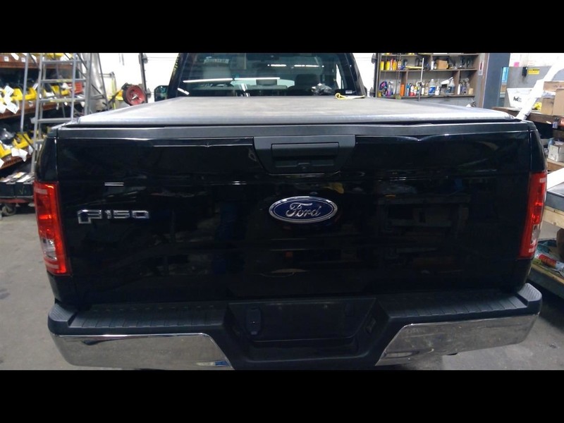 Trunk/Hatch/Tailgate With Rear View Camera Fits 15-17 FORD F150 PICKUP 1702232