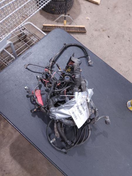ASPEN 2008 Engine Wire Harness 261542