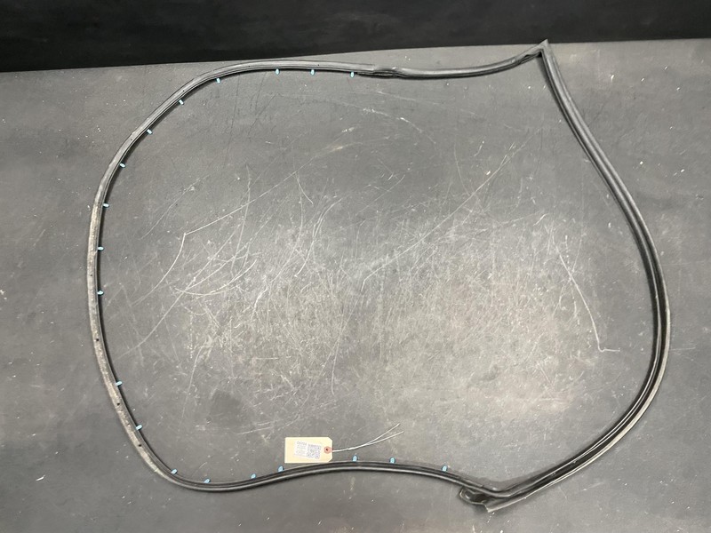 Front Left Door Weatherstrip 2019 Dodge Charger 68040045AJ 2014 2015 2016 - 2023