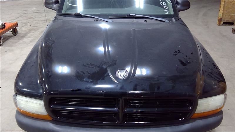 Hood Fits 97-04 DAKOTA 3125092
