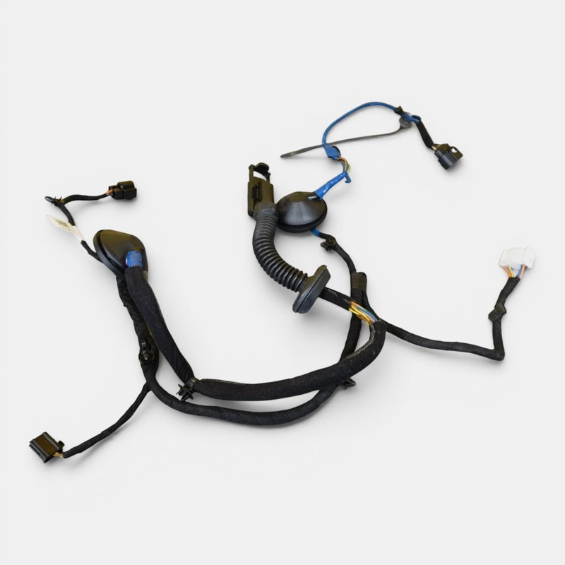 2022-2024 KIA EV6 Rear Left Side Door Wire Wiring Harness Oem 91620cv720a