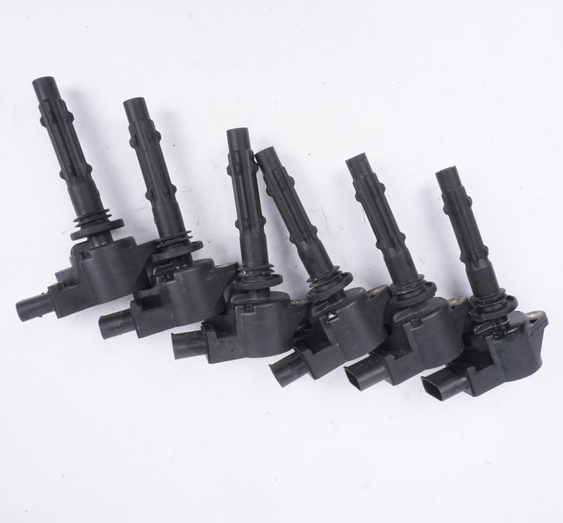 2005 - 2013 Mercedes Benz W221 S400 E350 Slk350 M272 Ignition Coil Set Of 6 OEM