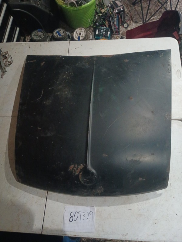 Vintage 1960 Volkswagen Front Hood OEM#1