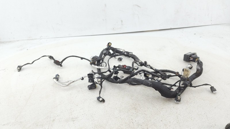 2020 - 2023 Ford Escape Engine Wire Wiring Harness2.0LOEM