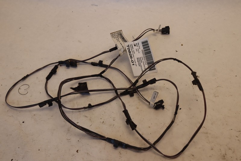 2018-2025 FREIGHTLINER CASCADIA 125 DOME LIGHT OVERHEAD WIRE CABLE HARNESS OEM