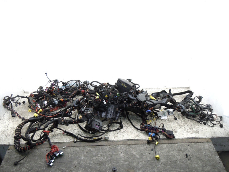 2006 06 Bentley Continental Flying Spur Body Wiring Wire Harness OEM