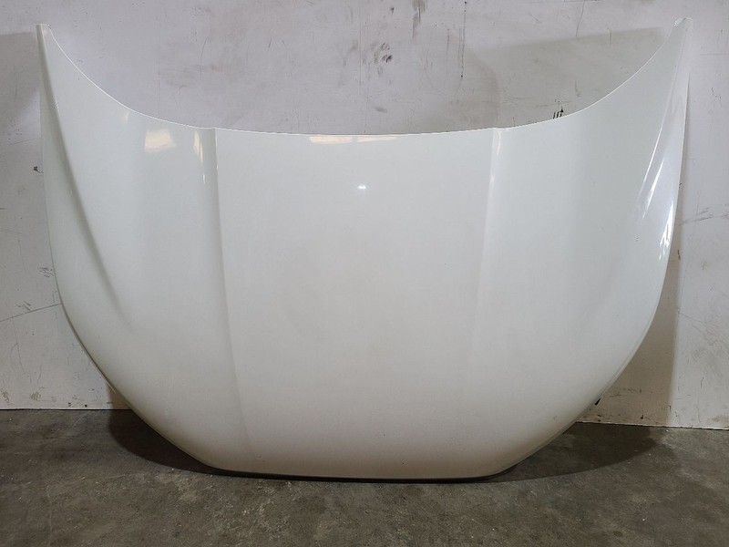 Hood Fits 18-22 ECOSPORT 579366