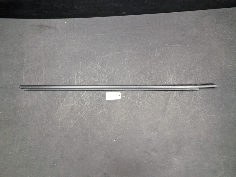 Front Right Door Window Belt Molding 2021 Dodge Challenger 55399122AG 2012 -2023