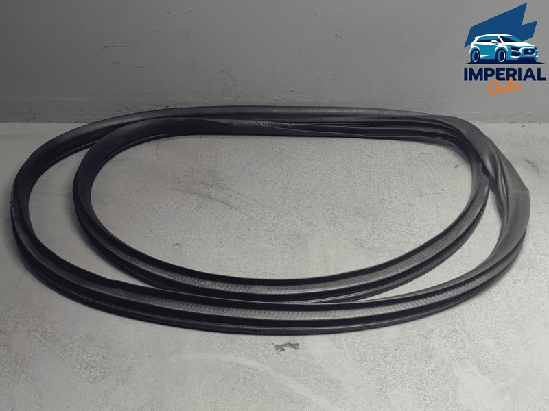 2018 - 2020 Honda Civic Sedan Rear Right or Left Door Body Weatherstrip Seal OEM