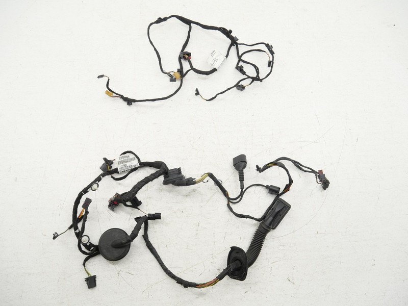 Used Rear Right Passenger Door & Panel Wire Harness 2016-2018 Audi RS7 C7.5 OEM