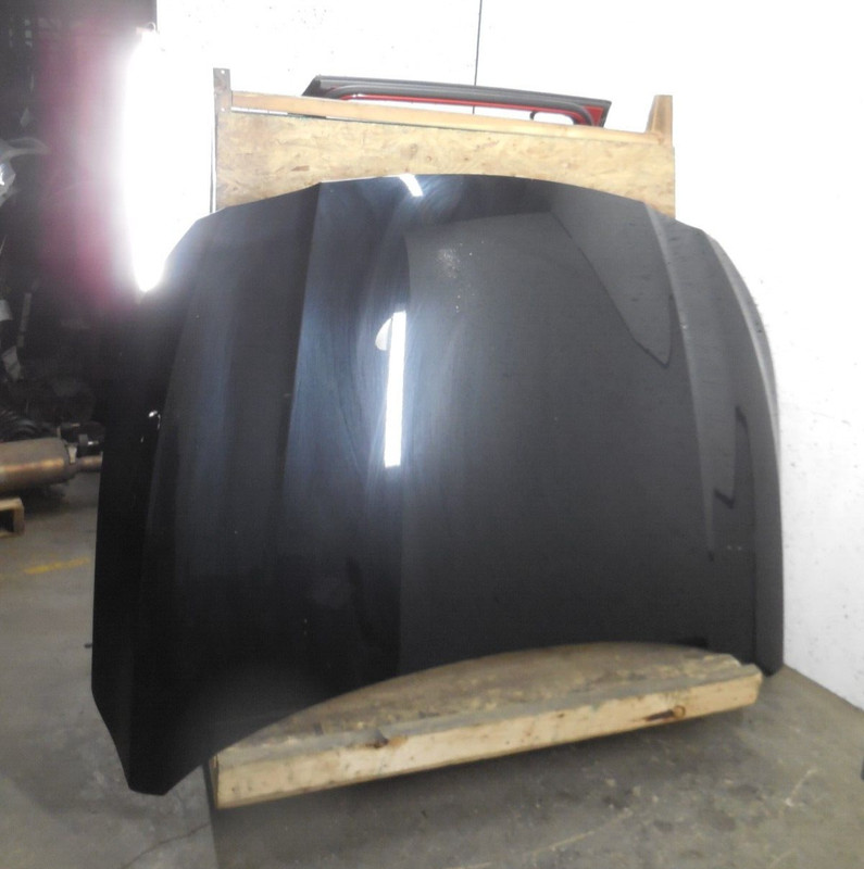 2019-2022 Nissan Altima Hood Bonnet Lid OEM KH3